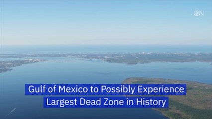 Parts Of The Gulf Of Mexico May Not Be Able To Support Life