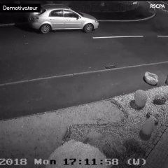 Cette caméra de surveillance a filmé le moment où ce chien a été abandonné par son maître sur le bord de la route. Très Émouvant !