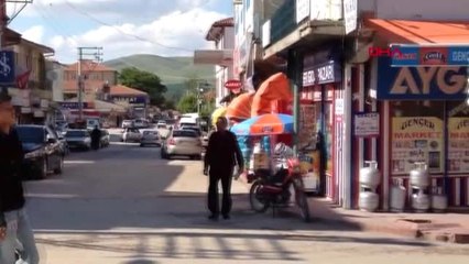 KIRIKKALE Su terfi merkezine giren 'gelincik', kesintiye neden oldu