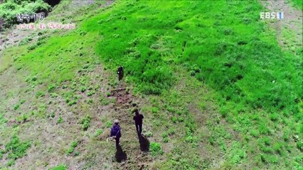 한국기행 - 시선기행, 나는 견(犬)이다2 2부- 양떼 몰러 나간다 '멍'_#002