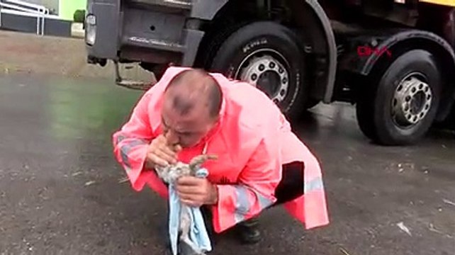 Pendik'te boğulan yavru kediyi suni solunumla hayata döndürdü
