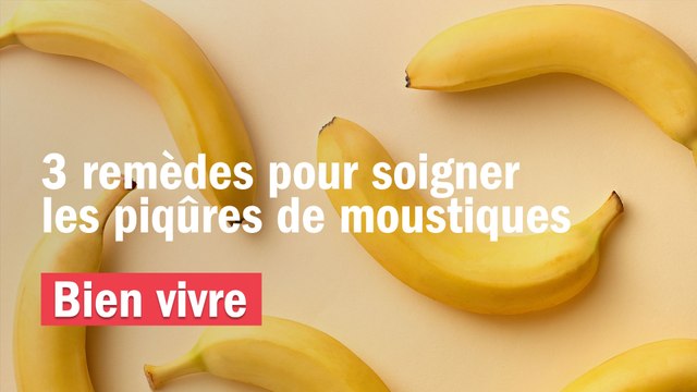 Les bobos de l'été - 3 remèdes pour soigner les piqûres de moustiques