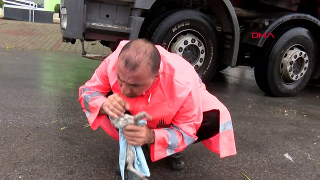 Güne damga vuran hareket