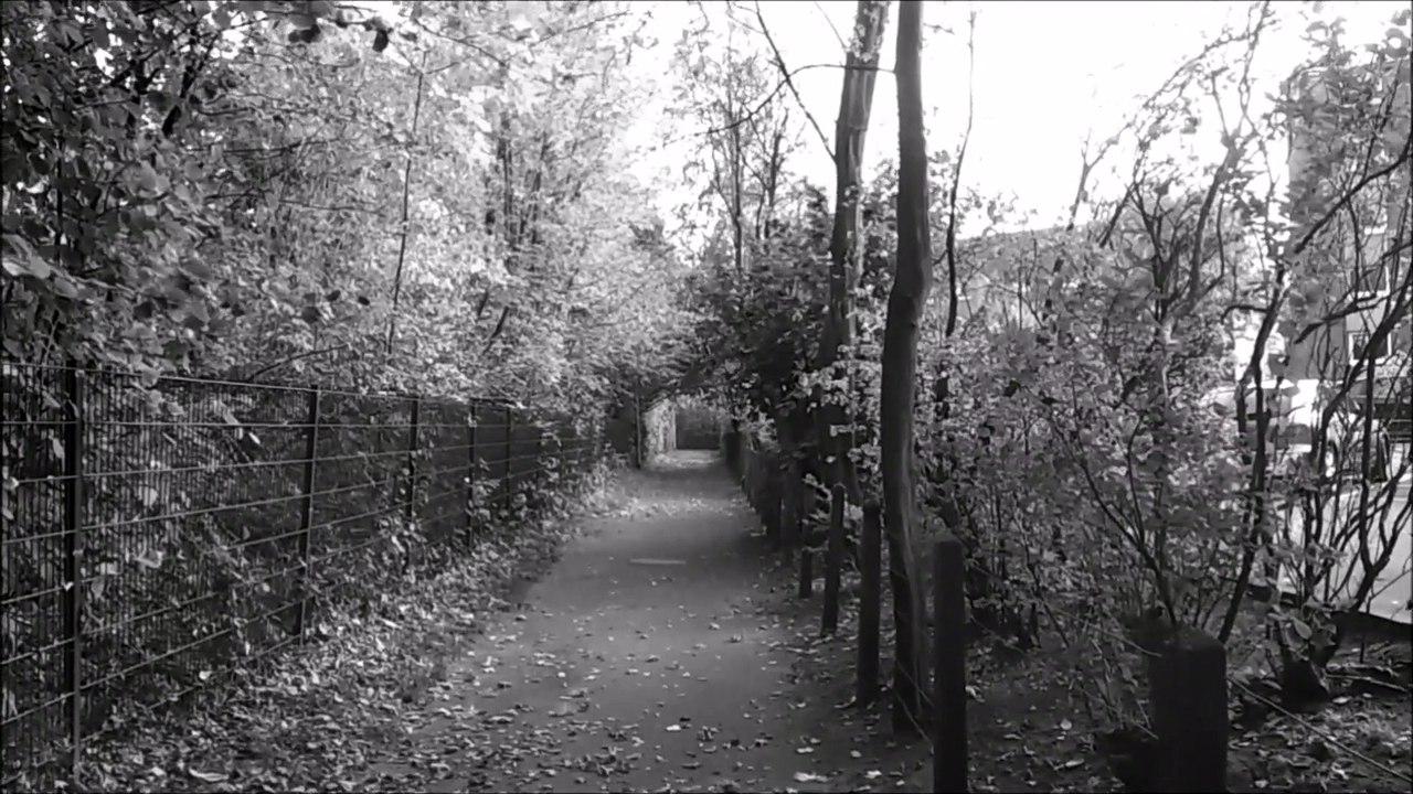 In Pinneberg 2015 /Full Film/Complete Movie/Ganzer Film