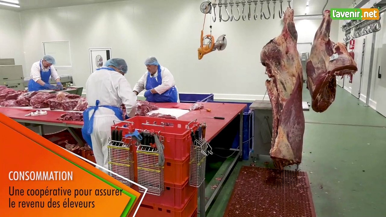 L'Avenir - Boucherie coopérative "en direct de mon élevage"