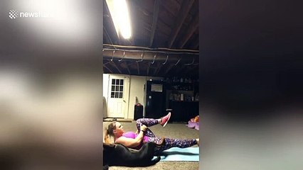 Dog copies US owner's movements during pilates workout
