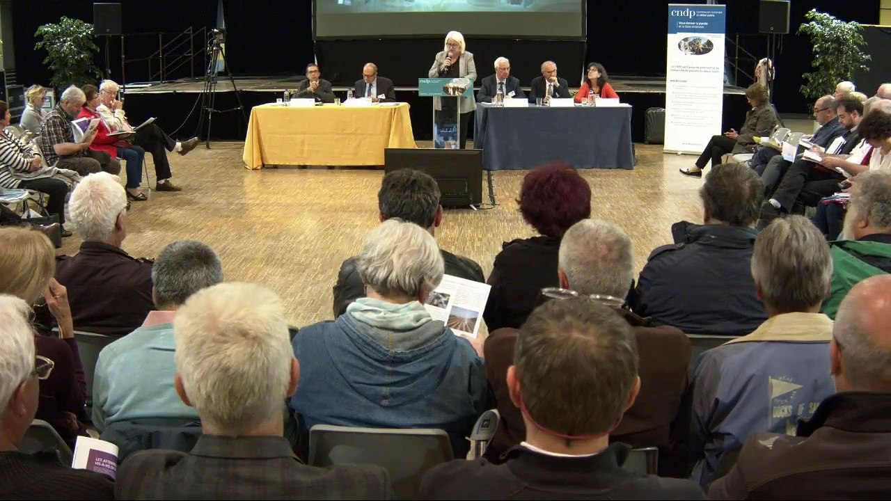 Débat public NFL - Réunion publique - Vénissieux - 11 juin 2019 - Partie 1