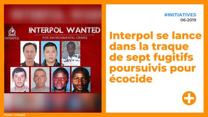 Interpol se lance dans la traque de sept fugitifs poursuivis pour écocide