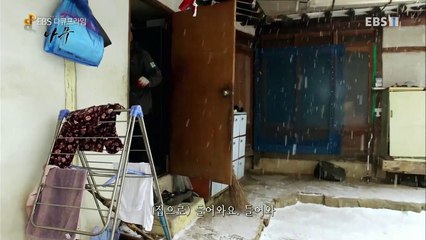 EBS 다큐프라임 - Docuprime_한반도 대서사시 나무 (맹씨행단 은행나무의 고백)_#001
