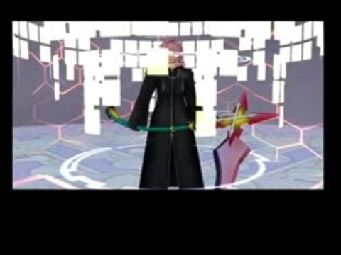 sora et dingo vs marluxia et terra