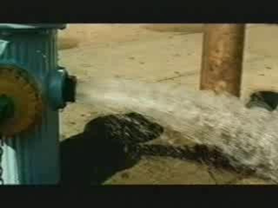 La Rhumba