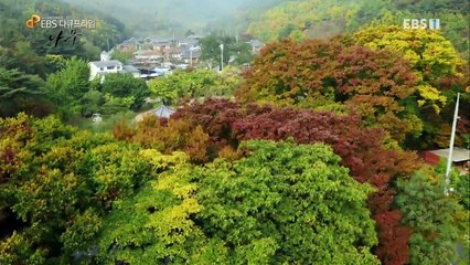 EBS 다큐프라임 - Docuprime_한반도 대서사시 나무 (느티나무가 있는 마을)_#002