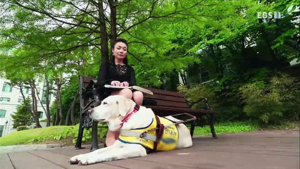 EBS 다큐프라임 - Docuprime_한반도 대서사시 나무 (슈베르트와 나무)_#001