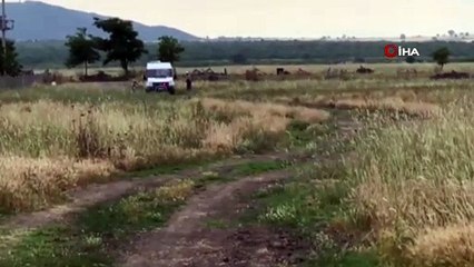 Çapa yaparken el bombası buldu