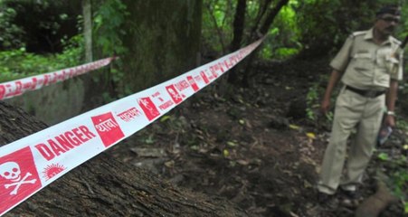 Caniler, borcunu ödemeyen adamın kızını kaçırıp gözlerini oydu