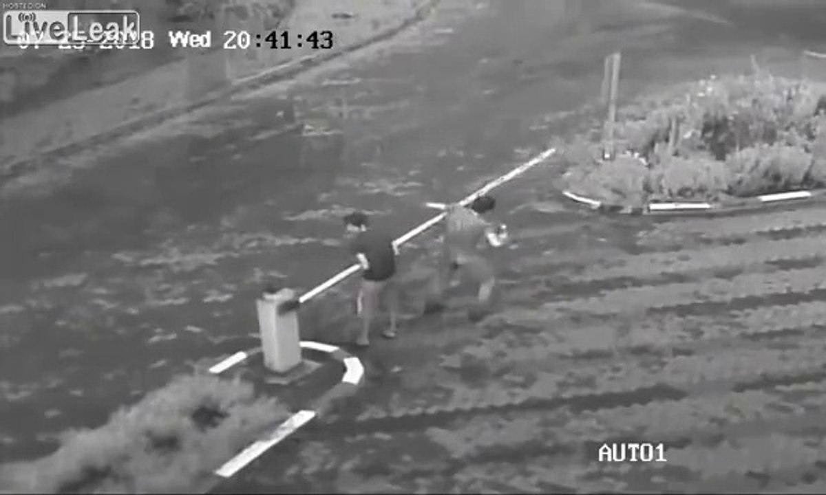 Ces débiles ivres viennent détruire une barrière à main nue !