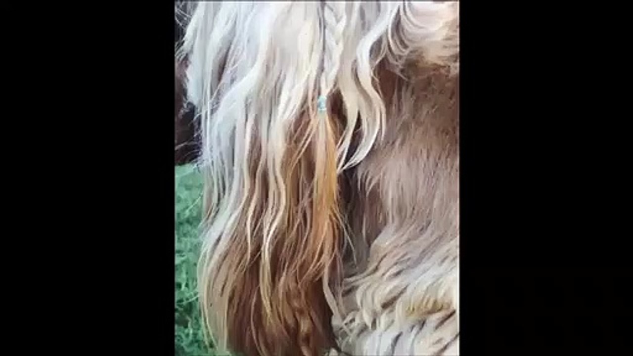 Elle a des cheveux magnifiques... ah mais... attendez..