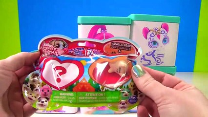 Shimmer and Shine Magical Toy Surprise Blind Boxes