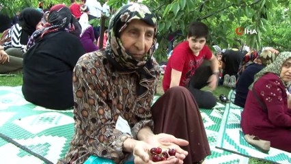 Bağcılar’da Kiraz hasadı şenliği yapıldı