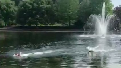 Swan Isn't Messing Around
