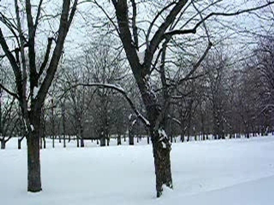 DE MONT ROYAL MONTREAL
