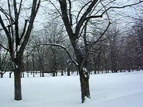 DE MONT ROYAL MONTREAL