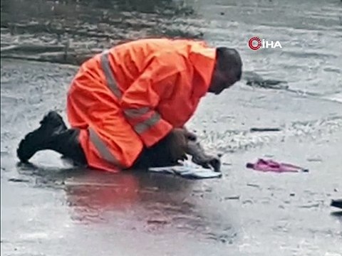 Pendik’de belediye işçisinin kediyi suni teneffüs yaparak kurtardığı anlar böyle fotoğraflandı