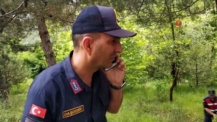 Samsun'da çam ağacına çarpan kamyonetin sürücüsü hayatını kaybetti