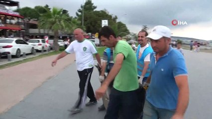 Samsun’da ölü yunus karaya vurdu