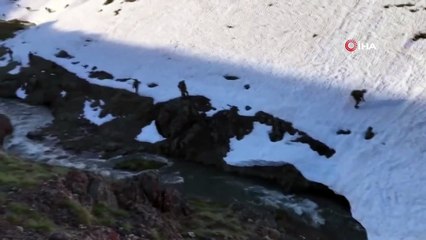 Tendürek Dağı’nda terör operasyonu