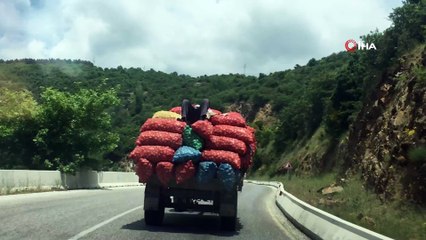 Tarladan pazara tehlikeli yolculuk