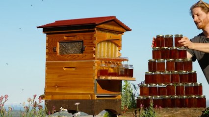 Amazing New Bee Hive Design To Make Your Own Honey - Easy & Safe For You & the Bees