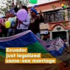 Ecuador Top Court Paves Way for Legal Same-Sex Marriage
