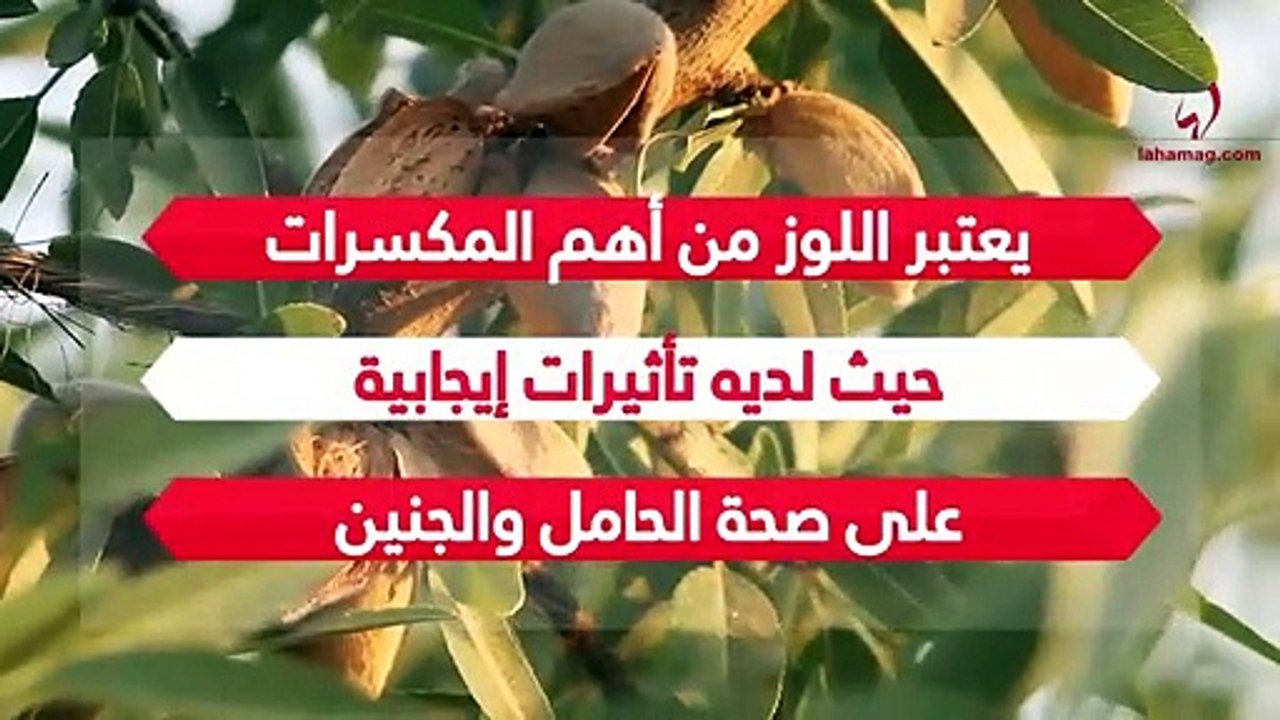 ما هي فوائد اللوز للمرأة الحامل والجنين؟