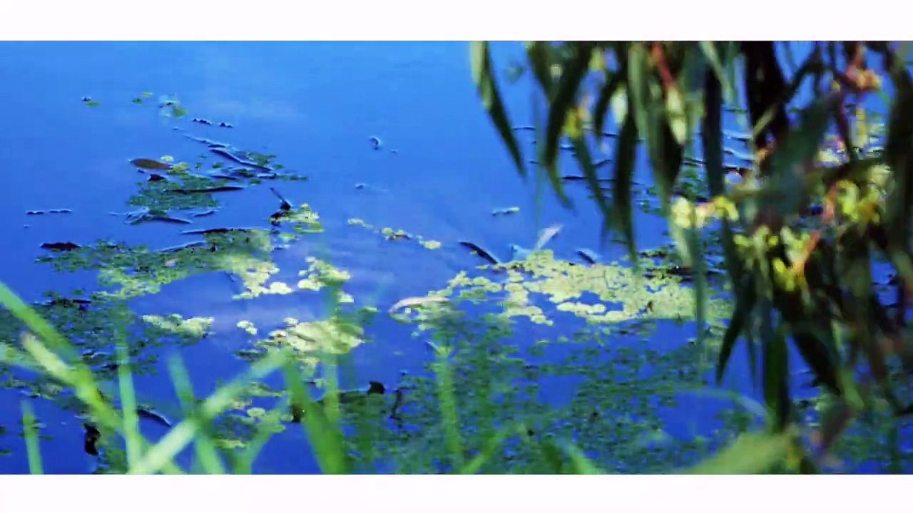 Explore Perth - Herdsman Lake, Perth WA