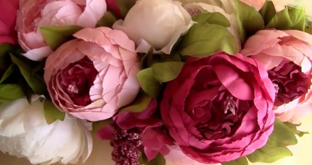 Promotional Trinidad FB