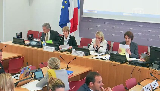 Commission du développement durable : Energie et Climat (suite) - Mercredi 12 juin 2019