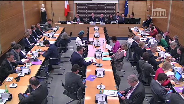 Commission des lois : Orientation et programmation relative à la sécurité intérieure ; Programmation du rattrapage et développement durable de Mayotte - Mercredi 12 juin 2019
