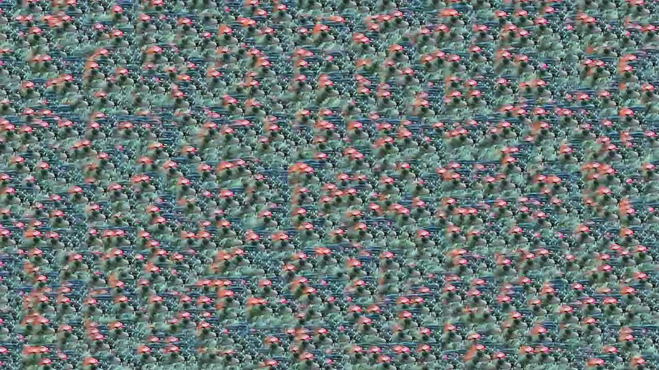 04101TrashRecPI  -  Baby Baby Baby NEW CLIP /Full Film/Complete Movie/Ganzer Film