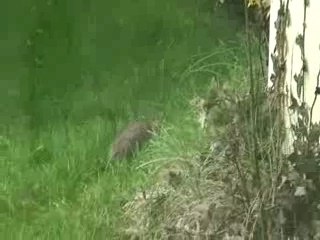 c'est beau la nature