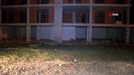 Bursa'da esrarengiz olay: Çocuklar köpeklerin cansız bedenlerini asansör boşluğunda buldu