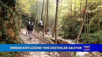 Bakan Pakdemirli’den Orman Köylülerine Müjde