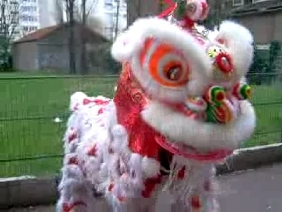 Danse du lion 3