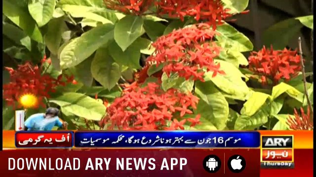 Bulletins ARYNews - 1200 13th June 2019