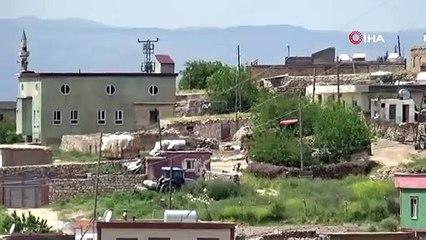 Köpek kuduz çıktı, köy karantinaya alındı