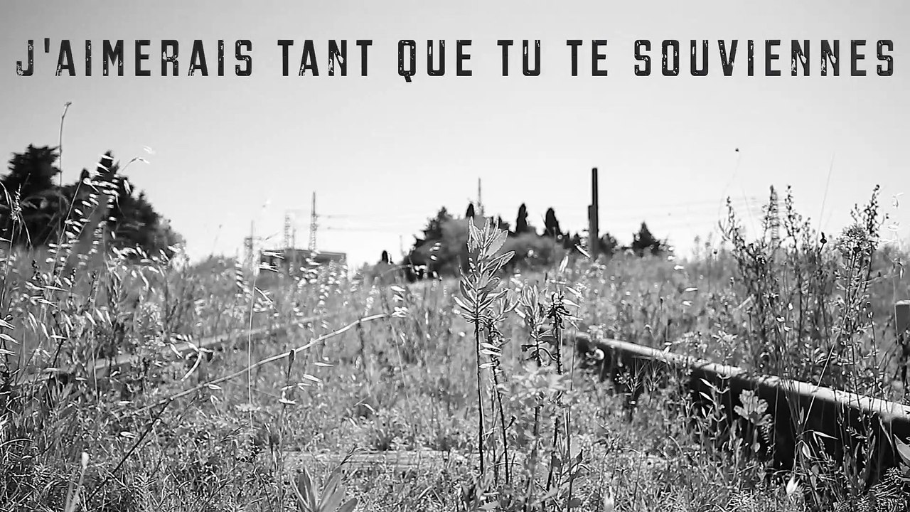 "J'aimerais tant que tu te souviennes" un hommage à la mémoire des déportés tziganes