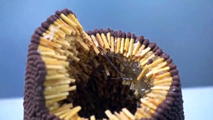 Amazing 70,000 Matches Chain Reaction Domino Effect