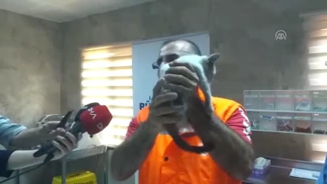 Suya kapılan yavru kediyi suni teneffüs yaparak kurtaran İBB yol bakım işçisi o anları anlattı