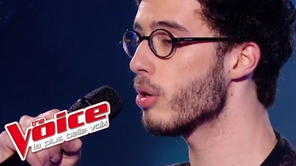 Michel Polnareff – Goodbye Marylou | Alexandre Carcelen | The Voice France 2016 | Épreuve ultime