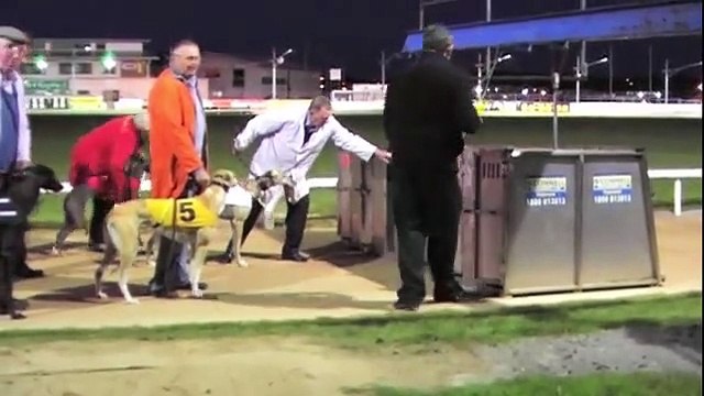 533,3514937,MOBİLYA KURULUM SERVİSİ,MECİDİYEKÖY,GÜLBAĞ,ETİLER,CİHANGİR,